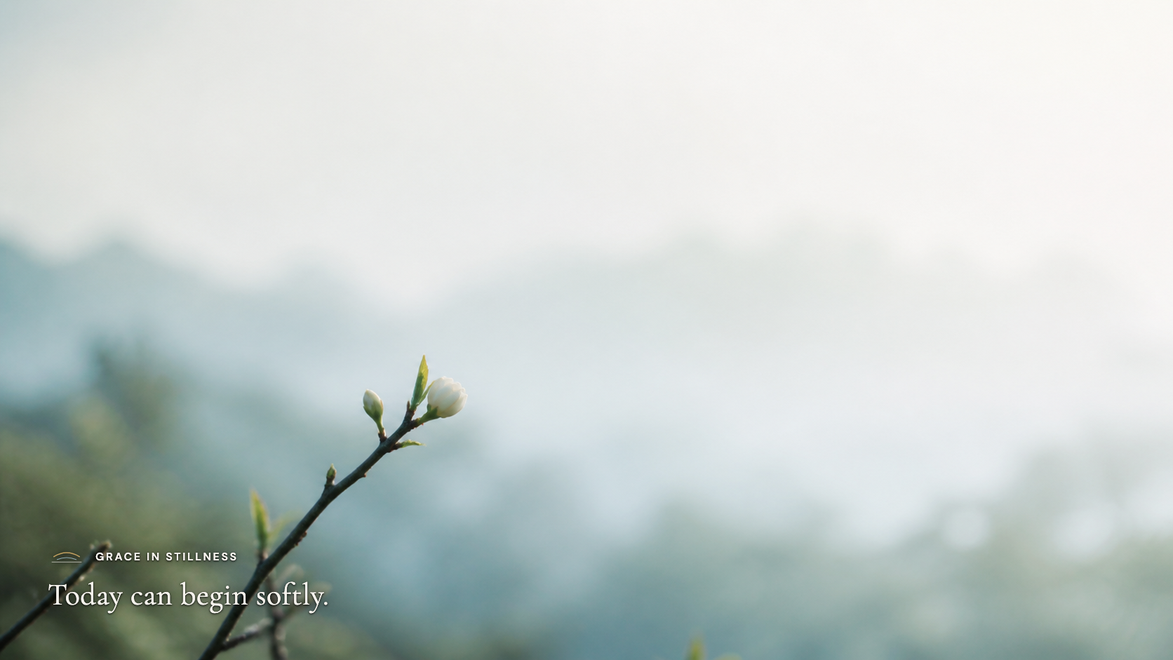 Today can begin softly. · Desktop