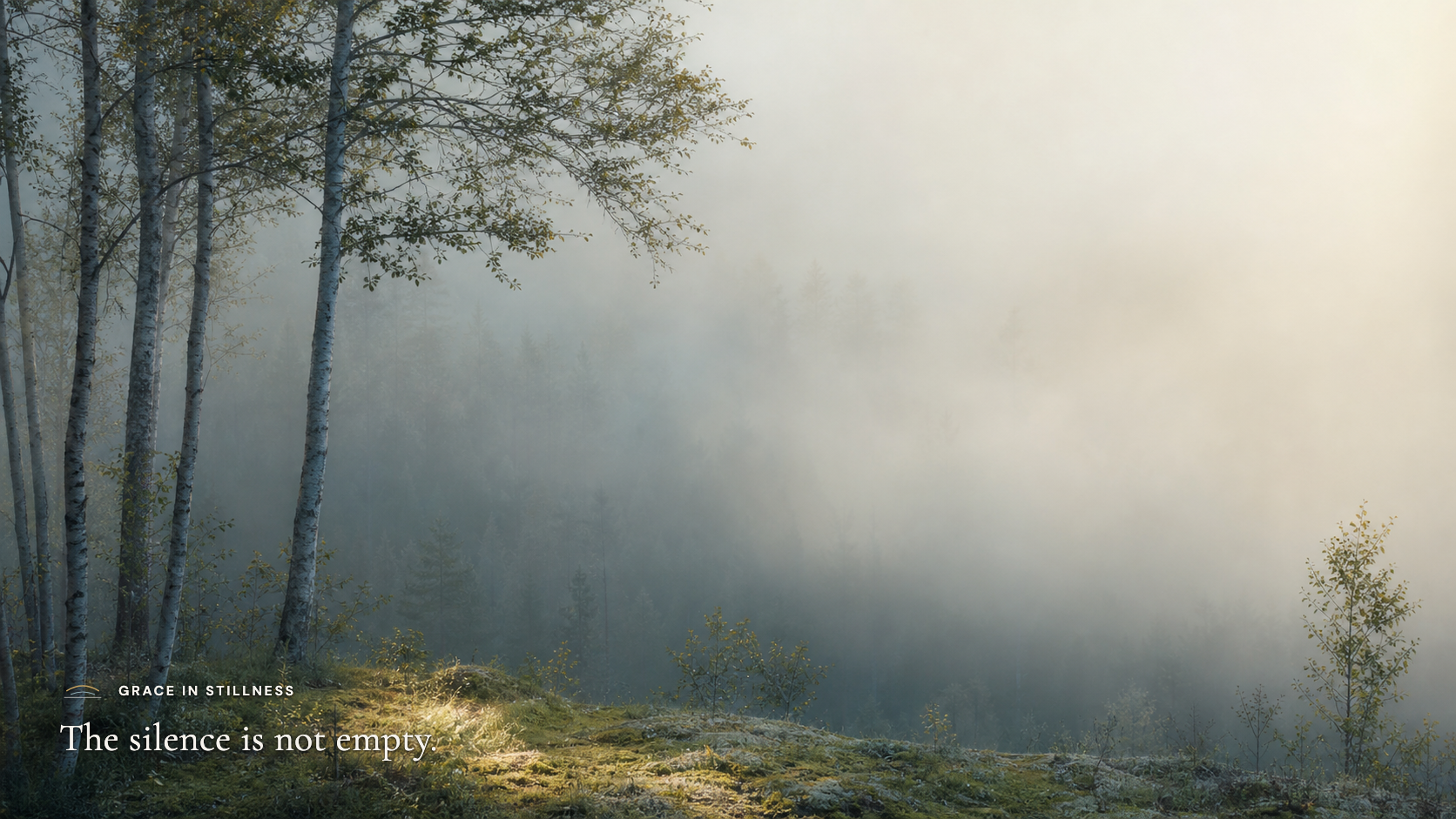 The silence is not empty. · Desktop